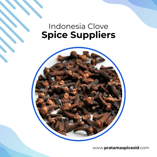 Indonesian Clove Spice Suppliers
