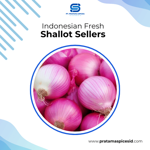 Indonesian Fresh Shallot Sellers