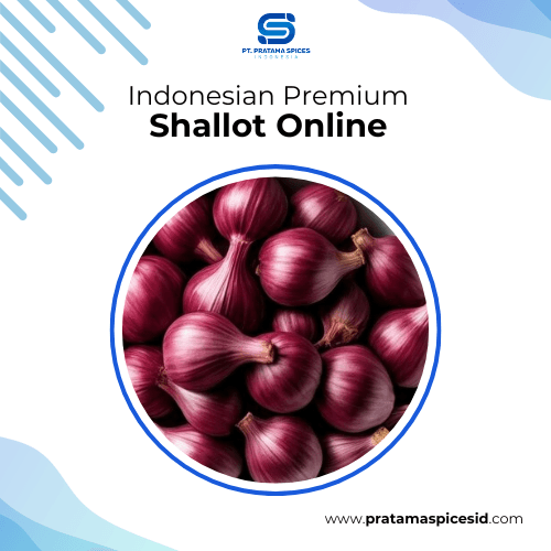 Indonesian Premium Shallot Online