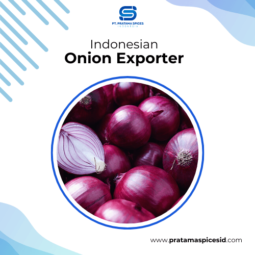 indonesian Onion Exporter