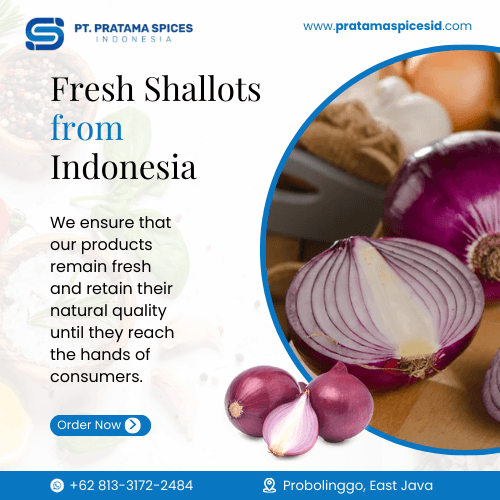 Fresh shallots from Indonesia