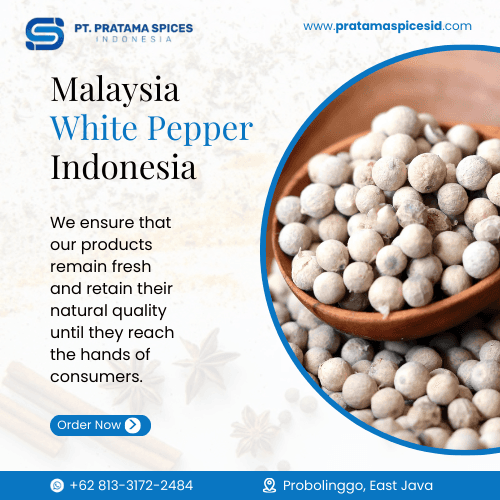 Malaysia White Pepper Indonesia