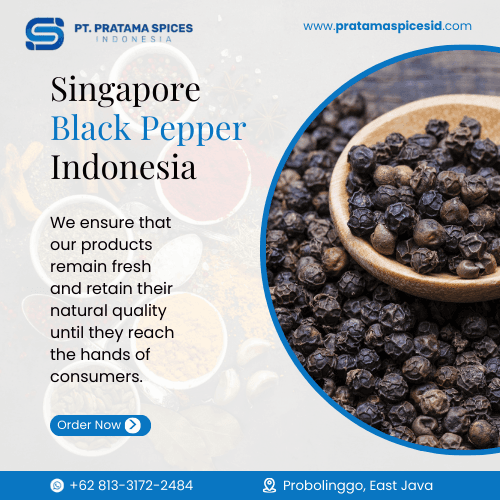 Singapore Black Pepper Indonesia