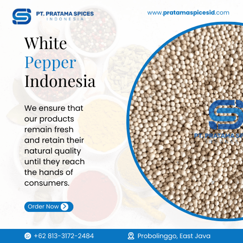 White Pepper Indonesia