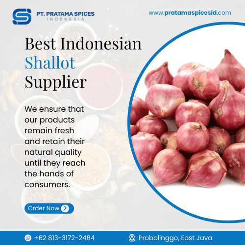 Best Indonesian Shallot Supplier