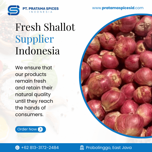 Fresh Shallot Supplier Indonesia