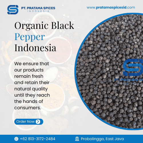 Organic Black Pepper Indonesia