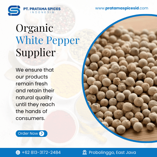 Organic White Pepper Supplier