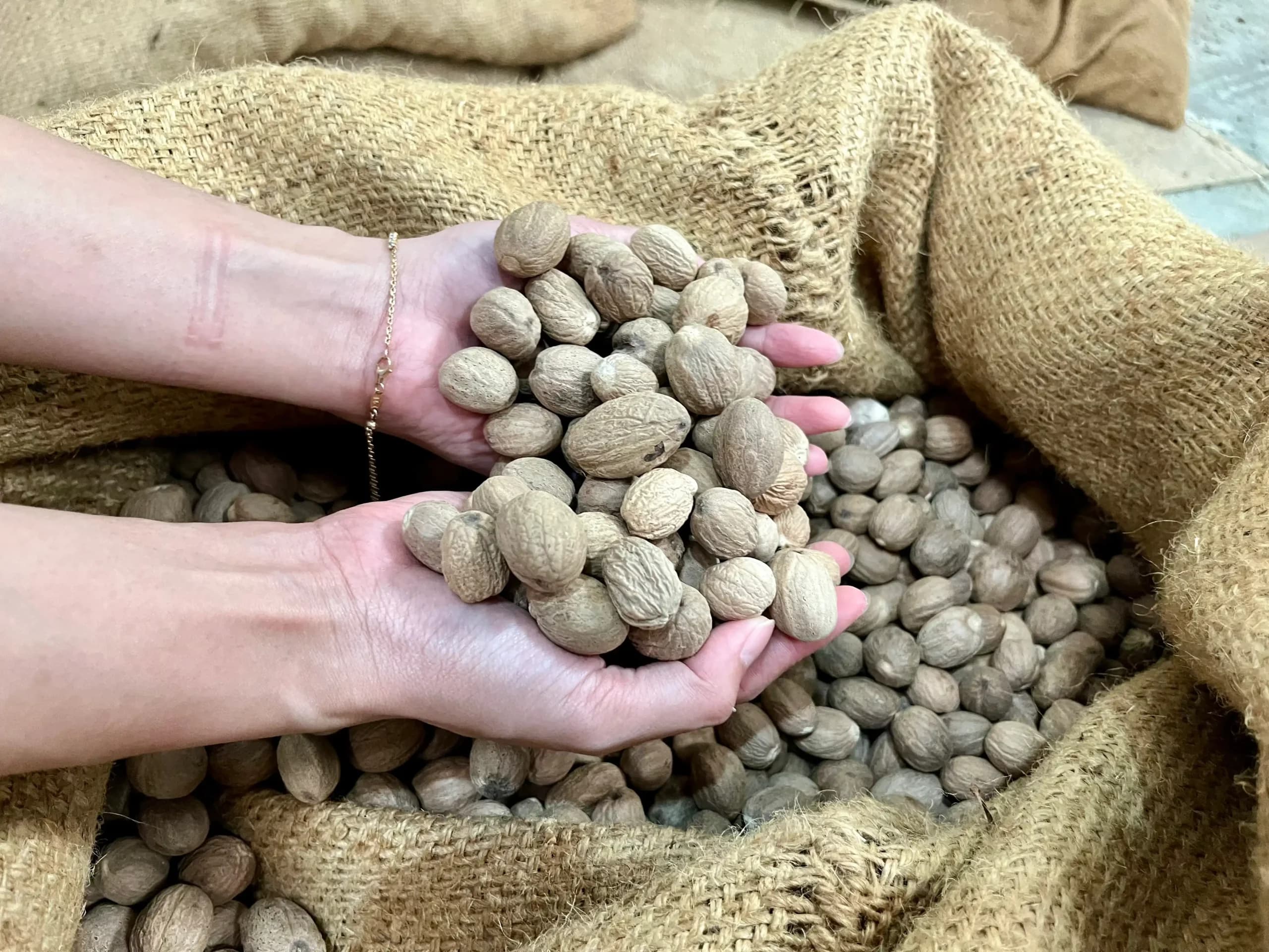 handful of dried nutmeg