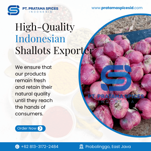 High-Quality Indonesian Shallots Exporter