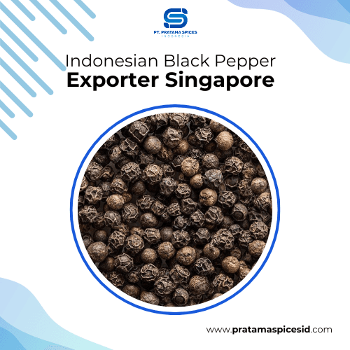 Indonesian Black Pepper Exporter Singapore