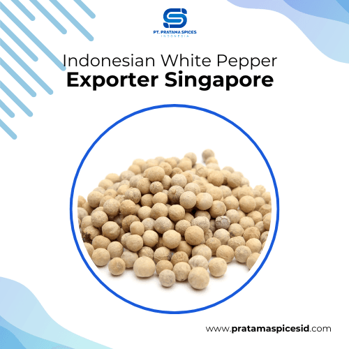 Indonesian White Pepper Exporter Singapore