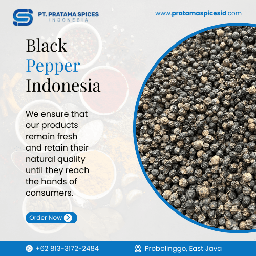 Black Pepper Indonesia
