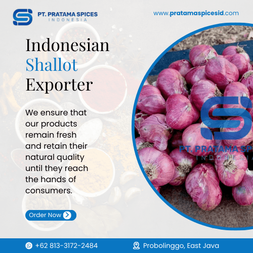 Indonesian Shallot Exporter