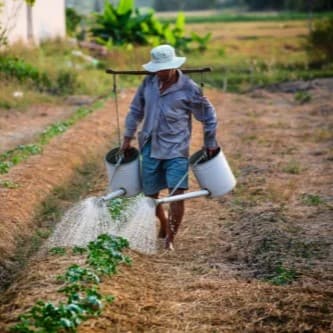 PT Pratama Spices Indonesia’s Support for Local Farmers Building a Sustainable Economy