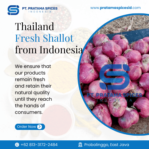Thailand Fresh Shallot from Indonesia