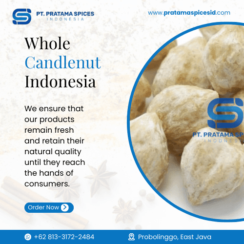 Whole Candlenut Indonesia