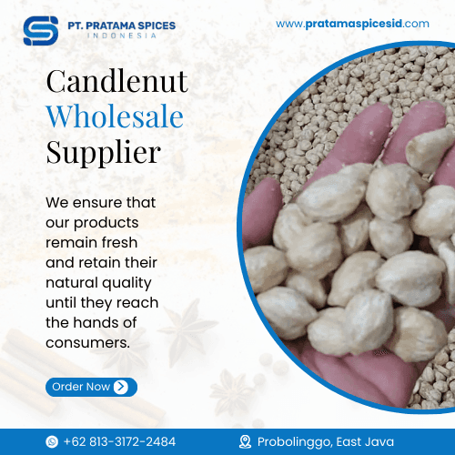 Candlenut Wholesale Supplier
