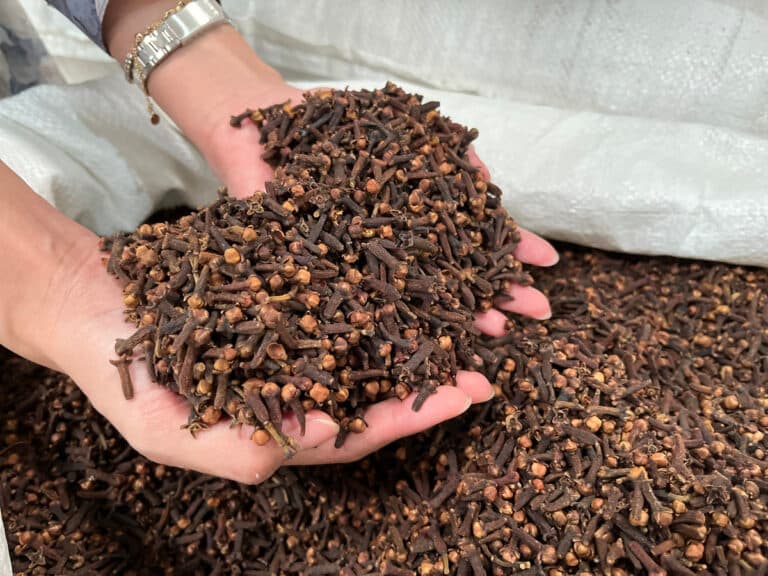 Organic hand-picked cloves bulk supply