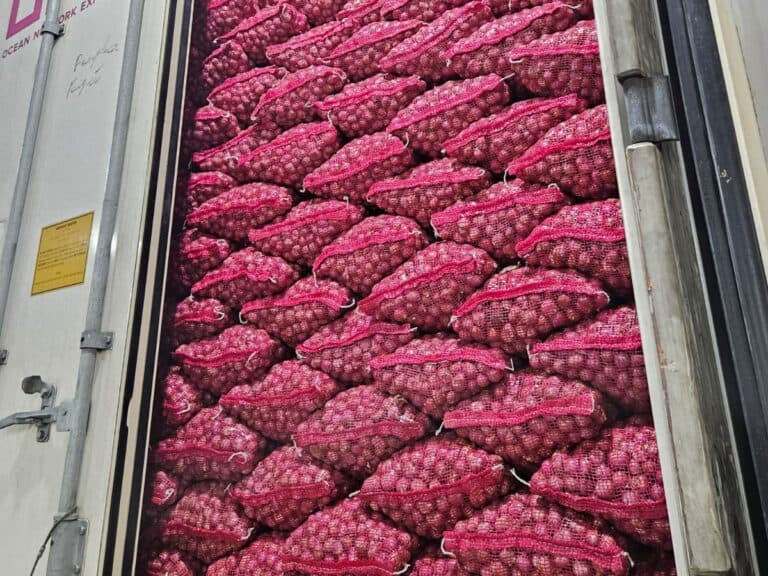 Shallots export, fully loaded