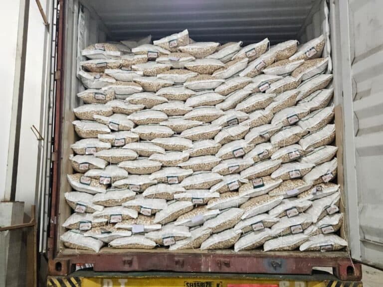 Candlenut is ready to be shipped