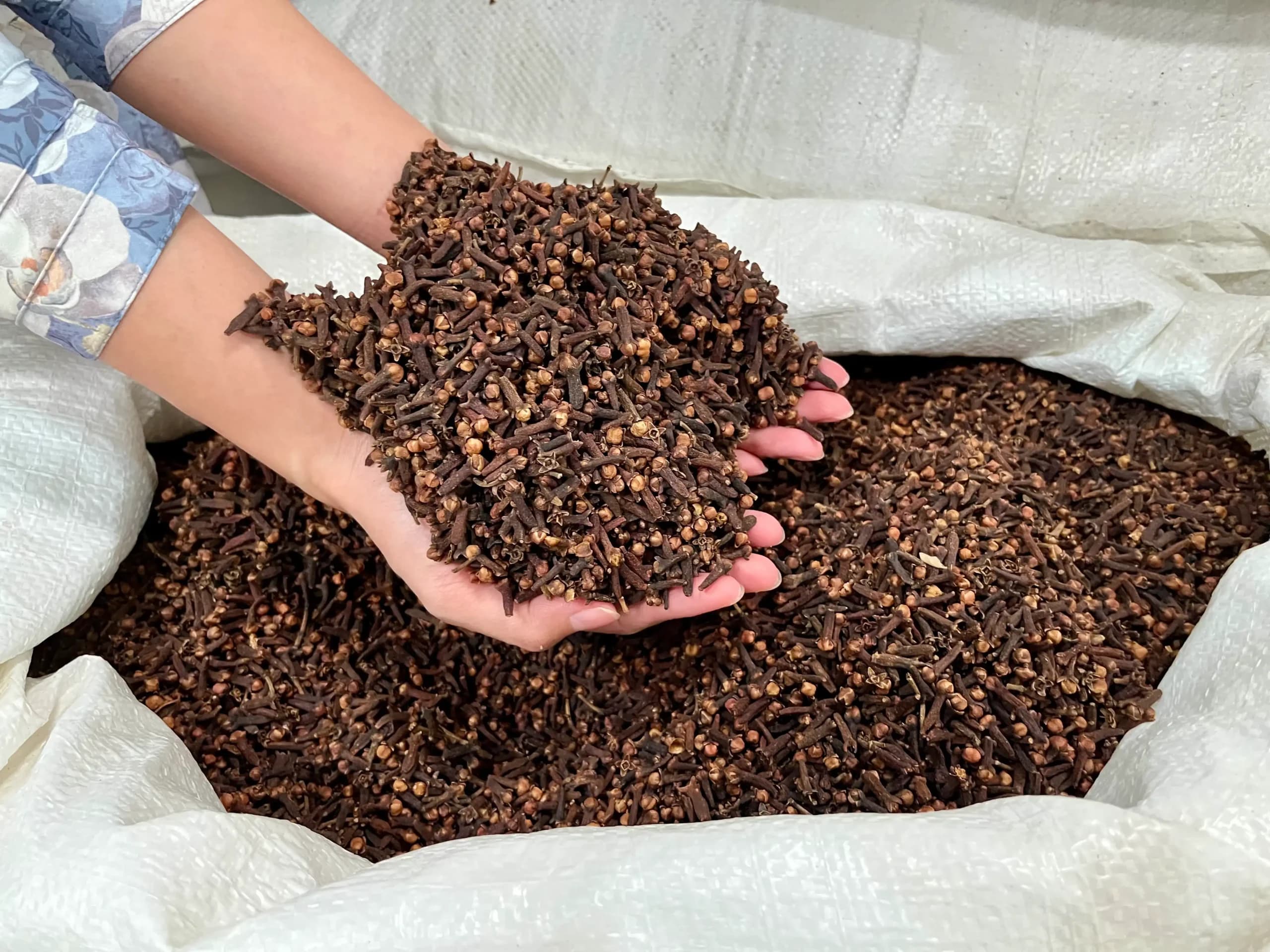 handfull of premium lalpari cloves