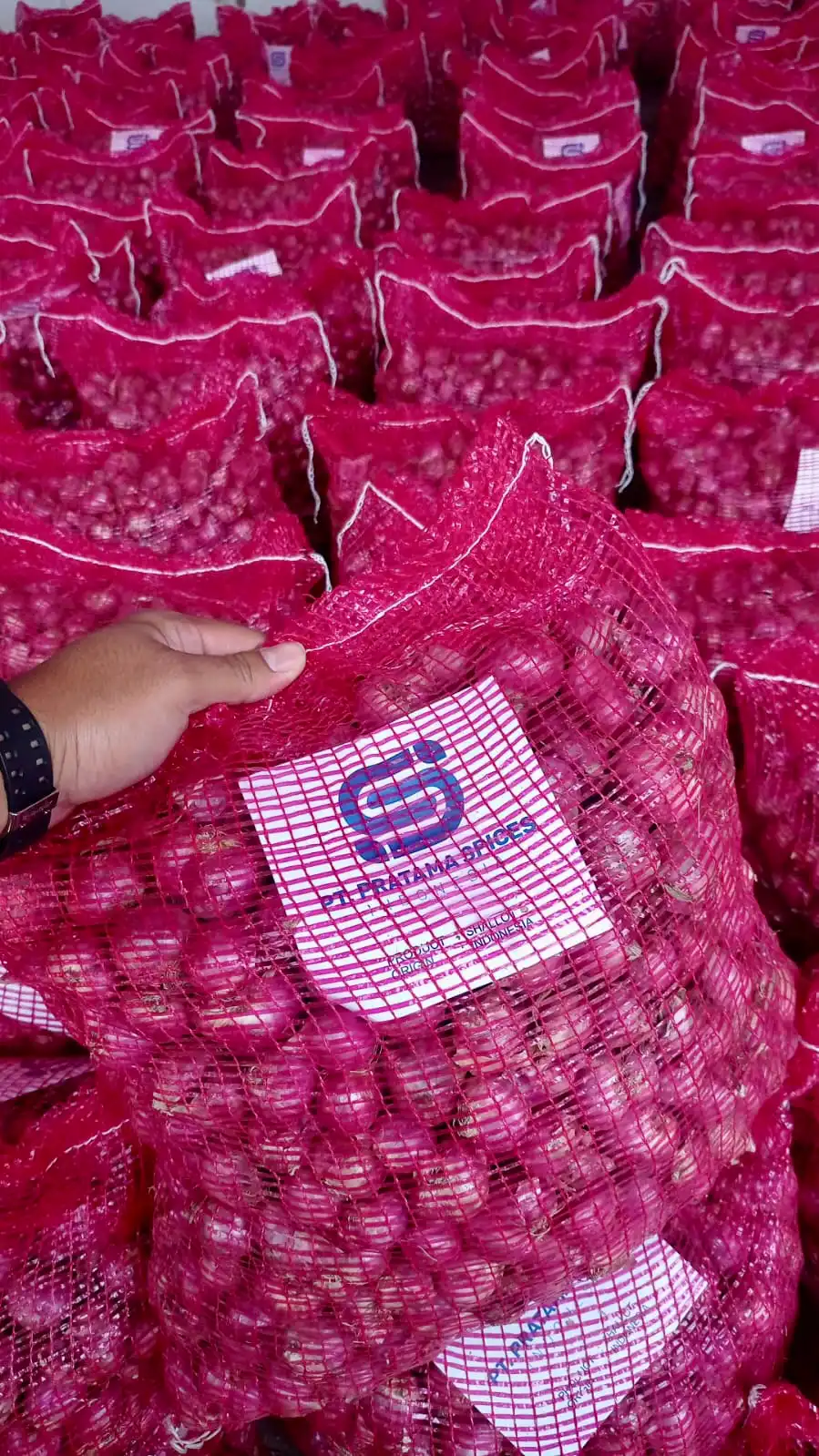 packaged fresh shallots ready for shipping